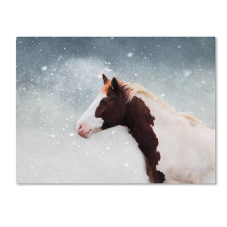 Jai Johnson 'Paint Horse In The Snow' Canvas Art,18x24
